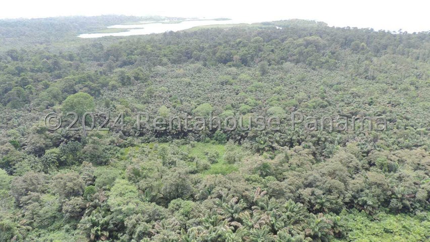Land for Sale in Bocas Del Toro Bocas del Toro 01001